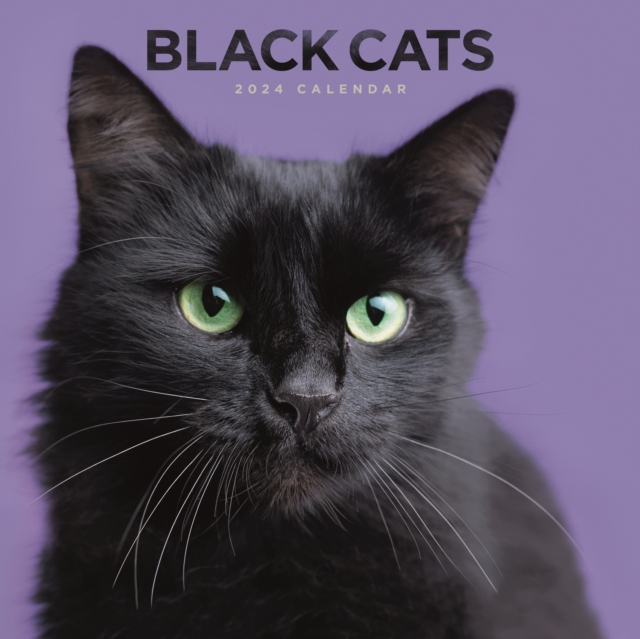 Black Cats Square Wall Calendar 2024