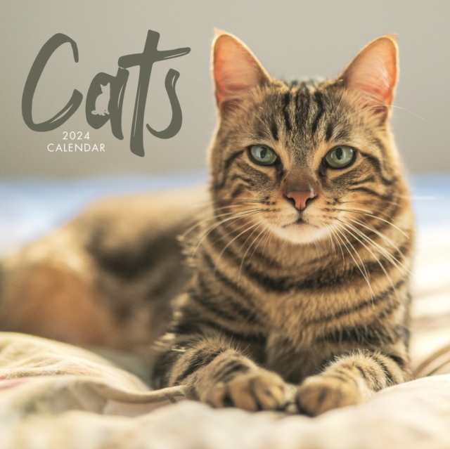 Cats Wiro Wall Calendar 2024