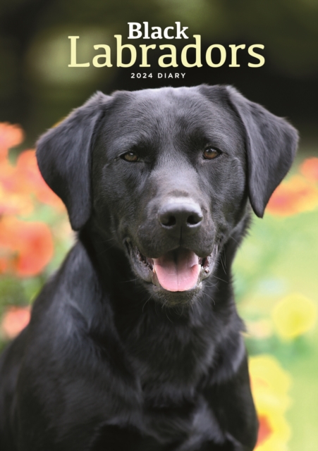 Labrador Retrievers Black A5 Diary 2024