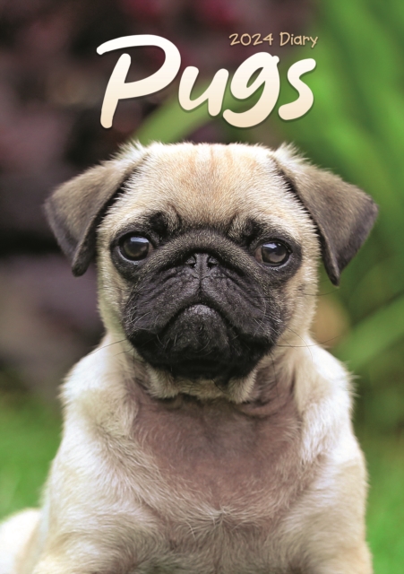 Pugs A5 Diary 2024