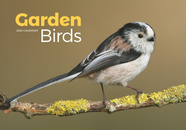 Garden Birds A4 Calendar 2024