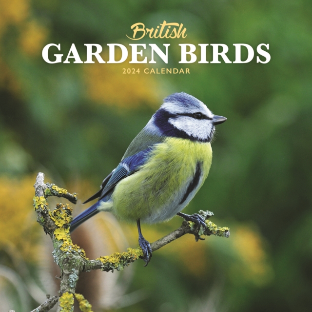 British Garden Birds Mini Calendar 2024