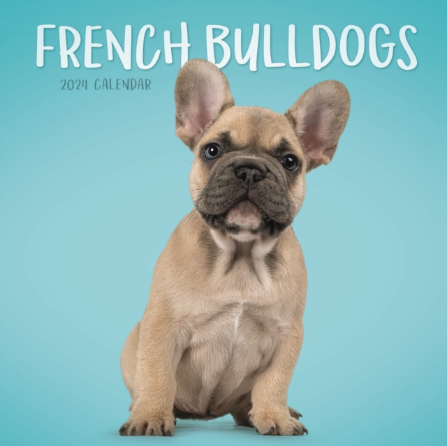 French Bulldogs Mini Calendar 2024