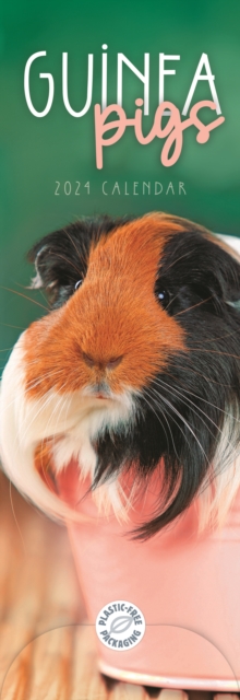 Guinea Pigs Slim Calendar 2024