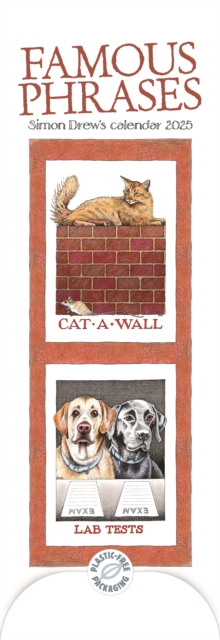 Simon Drew's Famous Phrases Slim Calendar 2025