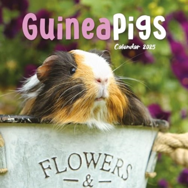 Guinea Pigs Square Mini Calendar 2025