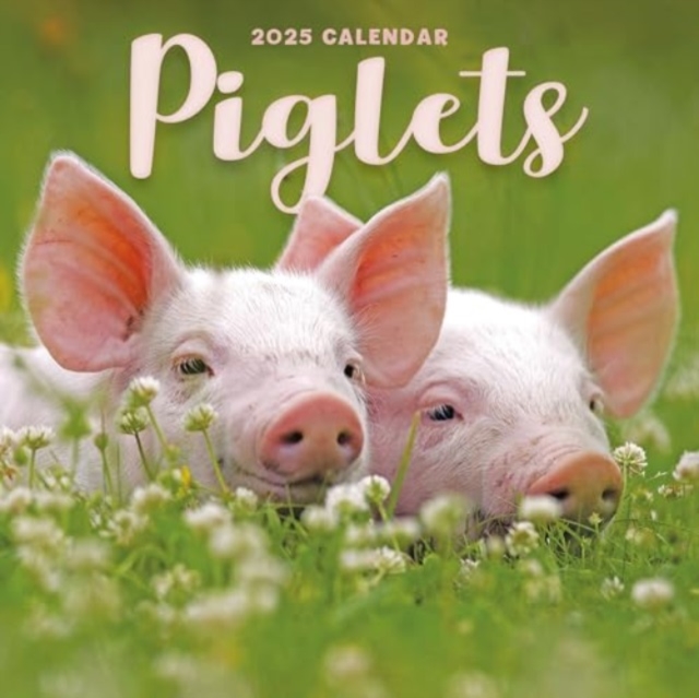 Piglets Square Mini Calendar 2025