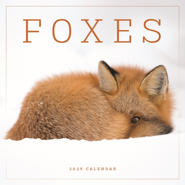 Foxes Square Wall Calendar 2025