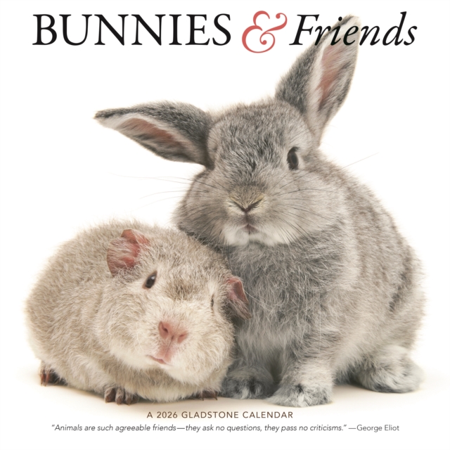 Bunnies Friends Square Wall Sunday Start