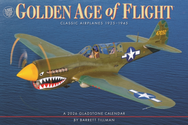 Golden Age Of Flight Deluxe Wall Sunday