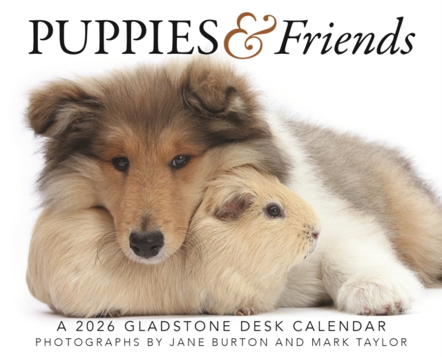 Puppies Friends Box Calendar 2026
