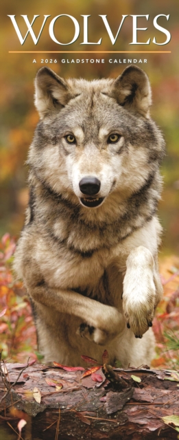 Wolves Deluxe Slim Sunday Start Calendar