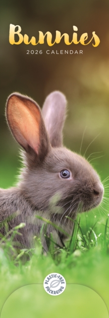 Bunnies Slim Calendar 2026