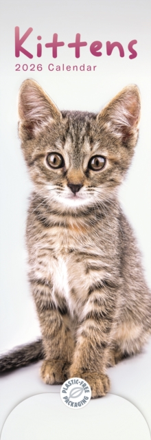 Kittens Slim Calendar 2026