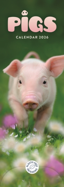 Pigs Slim Calendar 2026