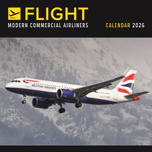 Flight Modern Commercial Airliners Squar