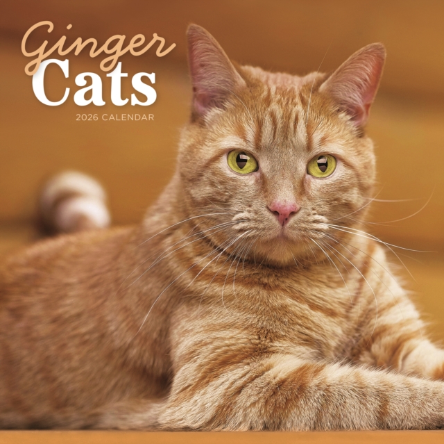 Ginger Cats Square Wall Calendar 2026