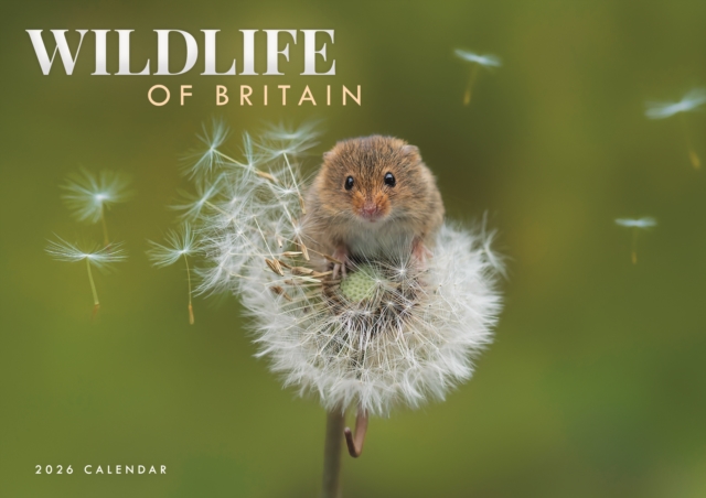 Wildlife Of Britain A4 Calendar 2026