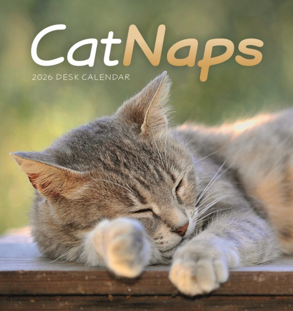 Cat Naps Easel Desk Calendar 2026