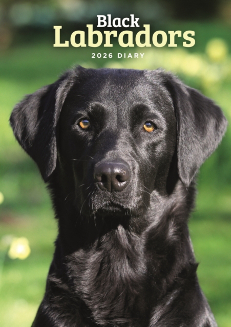 Labrador Retrievers Black A5 Diary 2026