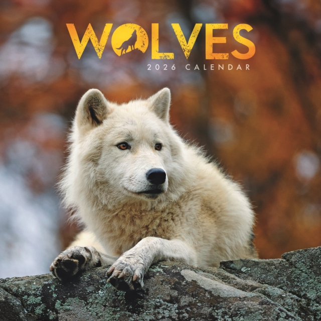 Wolves Square Mini Calendar 2026