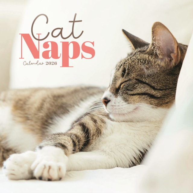 Cat Naps Square Mini Calendar 2026