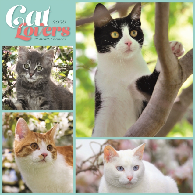 Cat Lovers Square Wall Sunday Start Cale