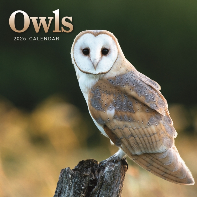 Owls Square Mini Calendar 2026