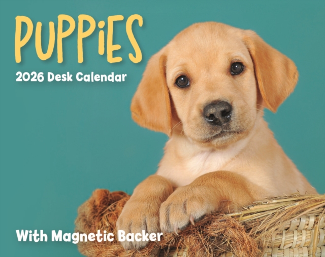 Puppies Mini Box Calendar 2026