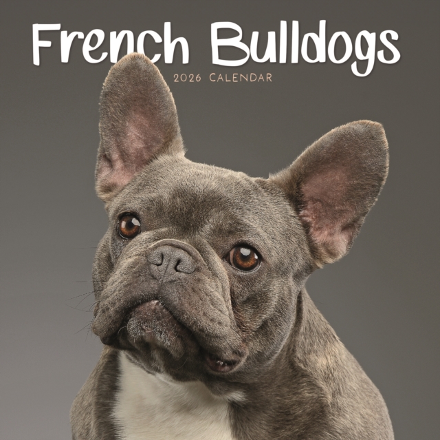 French Bulldogs Square Mini Calendar 202