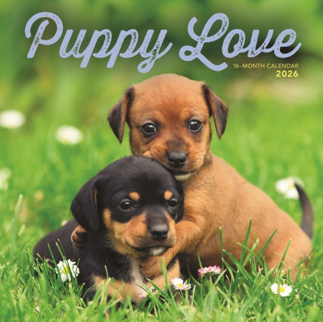 Puppy Love Square Wall Sunday Start Cale