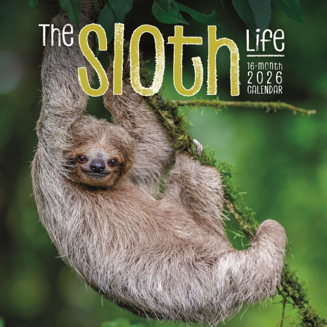 Sloths Square Wall Sunday Start Calendar