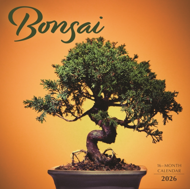 Bonsai Square Wall Sunday Start Calendar