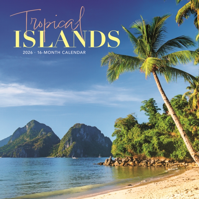 Tropical Islands Square Wall Sunday Star