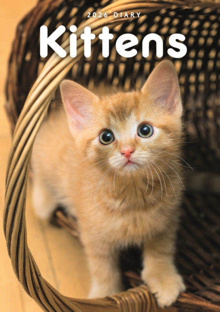 Kittens A5 Diary 2026