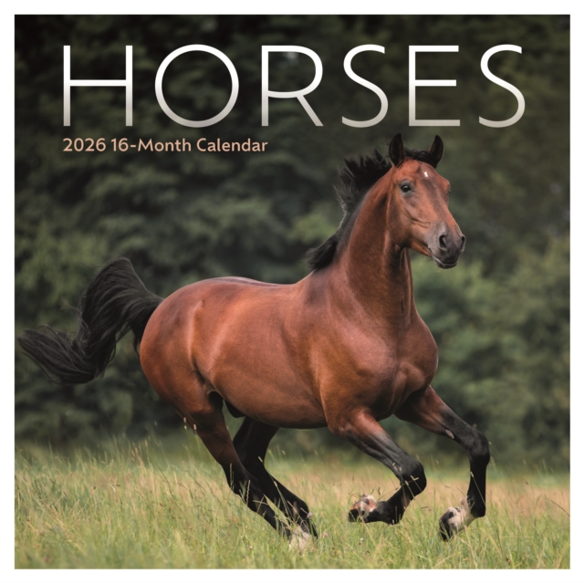 Horses Square Mini Sunday Start Calendar