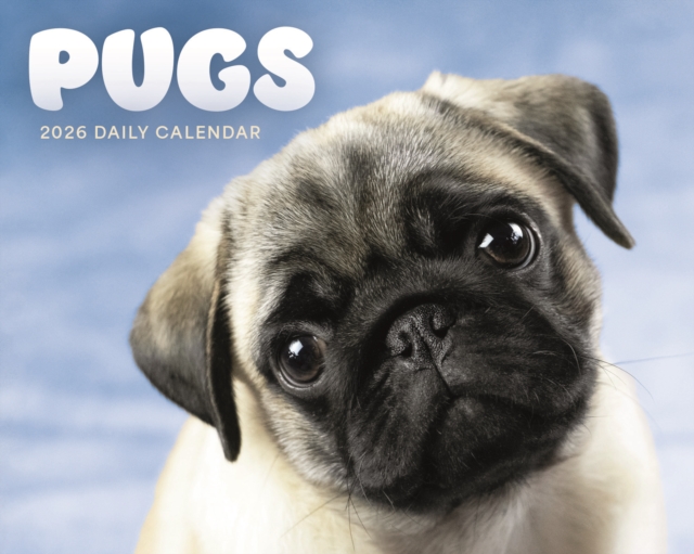 Pugs Box Calendar 2026