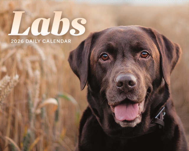 Labs Box Calendar 2026