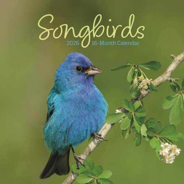 Songbirds Square Mini Sunday Start Calen