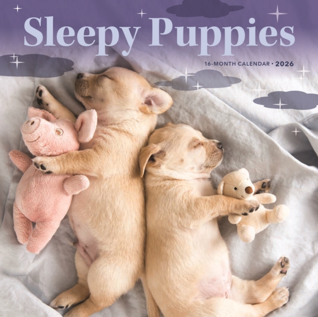 Sleepy Puppies Square Mini Sunday Start