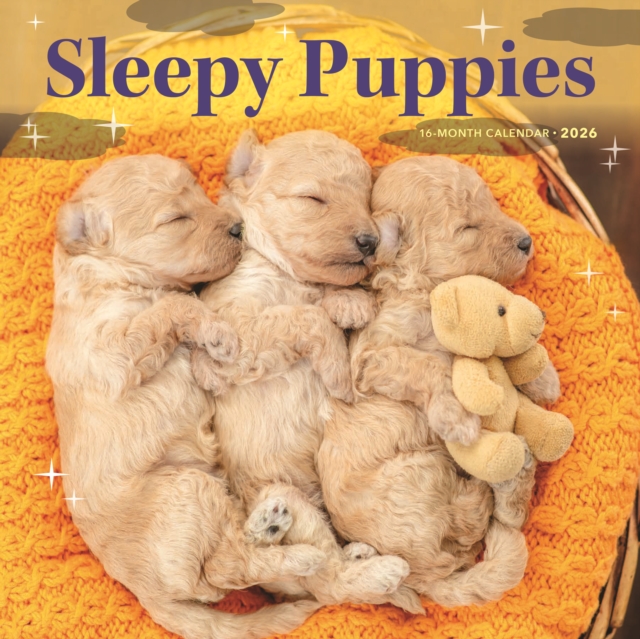 Sleepy Puppies Square Wall Sunday Start