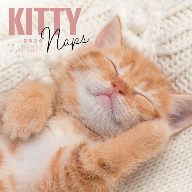 Kitty Naps Square Wall Sunday Start Cale