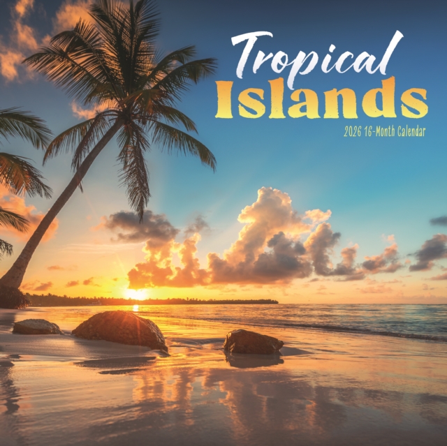 Tropical Islands Square Wall Sunday Star