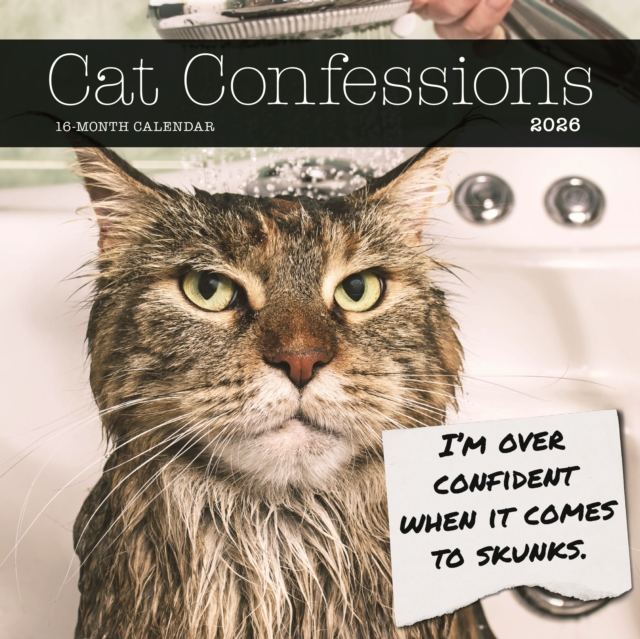 Cat Confessions Square Wall Sunday Start