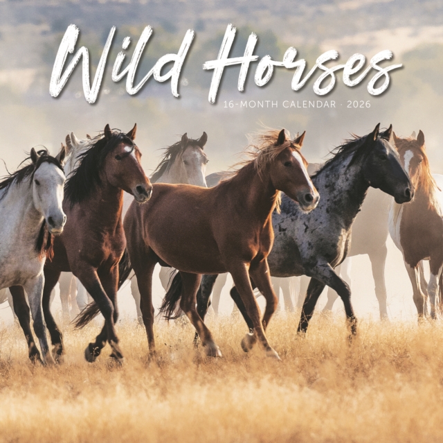 Wild Horses Square Wall Sunday Start Cal