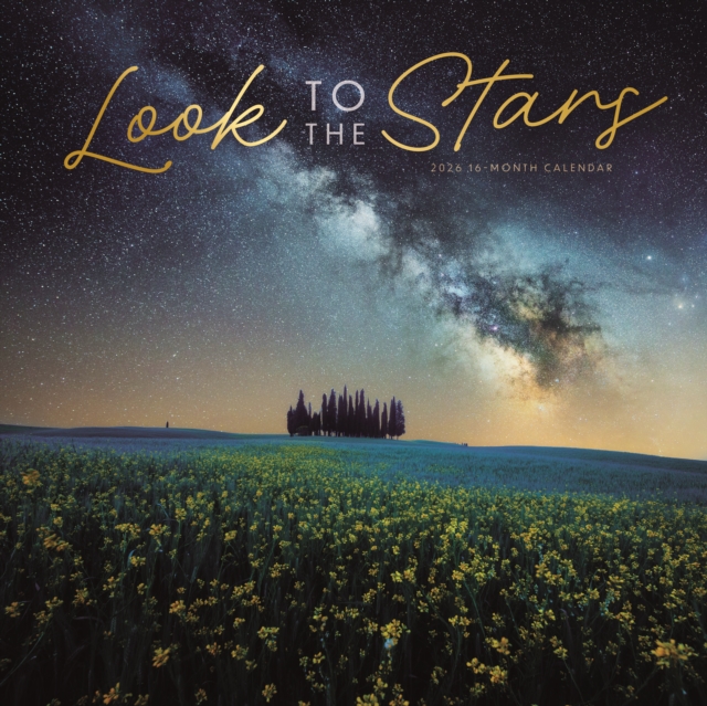 Look To The Stars Square Wall Sunday Sta