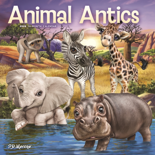 Animal Antics Square Wall Sunday Start C