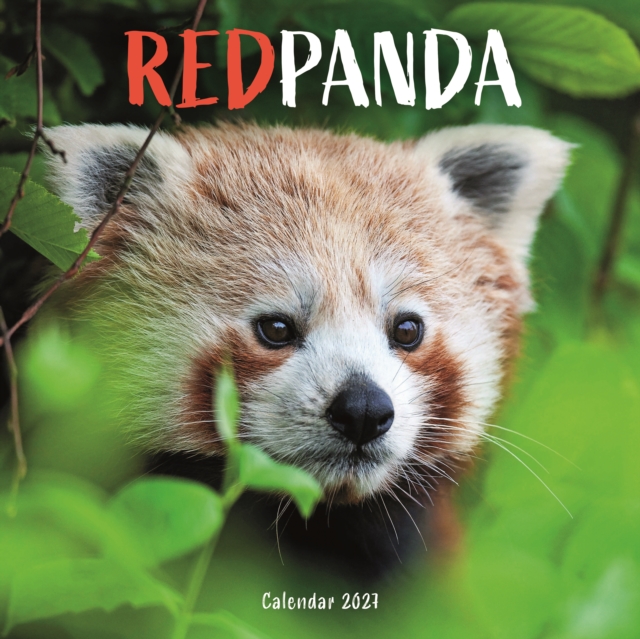 Red Pandas (PFP) W