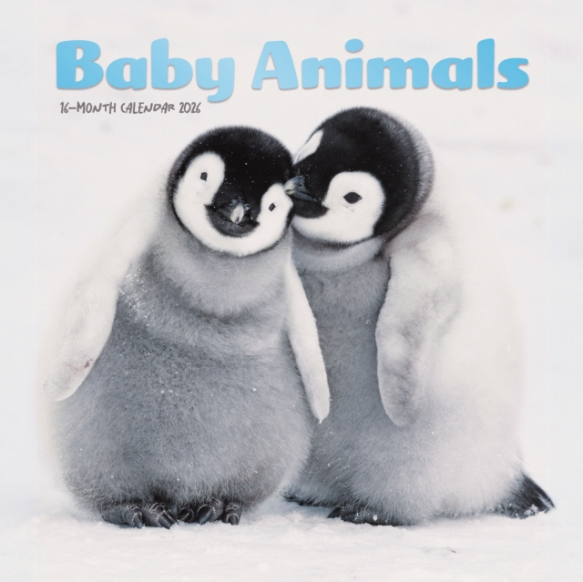 Baby Animals Square Mini Sunday Start Ca