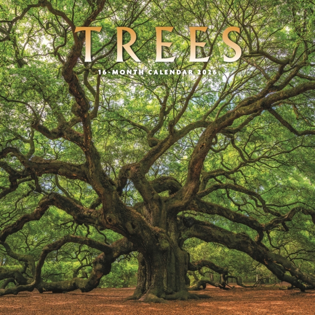 Trees Square Wall Sunday Start Calendar